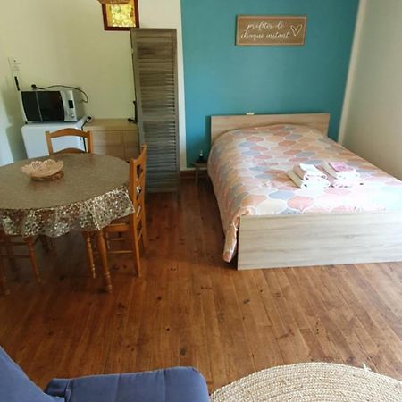 Le Studio De Rochavelle Apartment Chiche Bagian luar foto